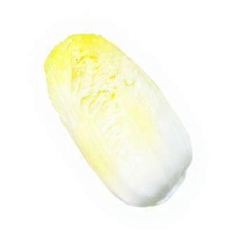 Realistic Fake Cabbage Sensory Toy for Kids and Adults