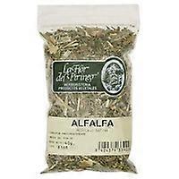 alfalfa grass 40 g