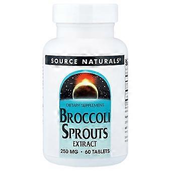 Source Naturals, Broccoli Sprouts Extract, 60 Tablets (125 mg per Tablet)