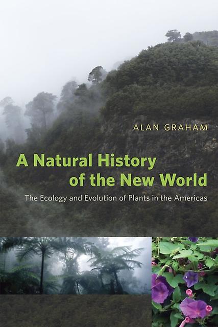 A Natural History Of The New World The Ecology And Evolution Of Plants In The A by Alan Graham Paperback Book