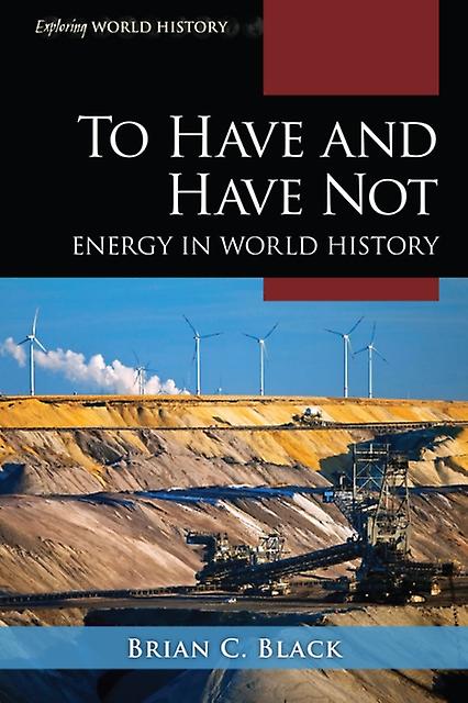 To Have And Have Not by Black & Brian C. & Ph.D. Paperback Book