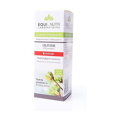 Organic olive tree - Olea europea 30 ml