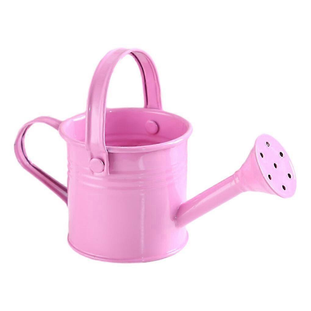 מזלף ברזל וינטג' עם זרבובית ארוכה, כלי ורוד עציץ גינון מקורה חיצוני