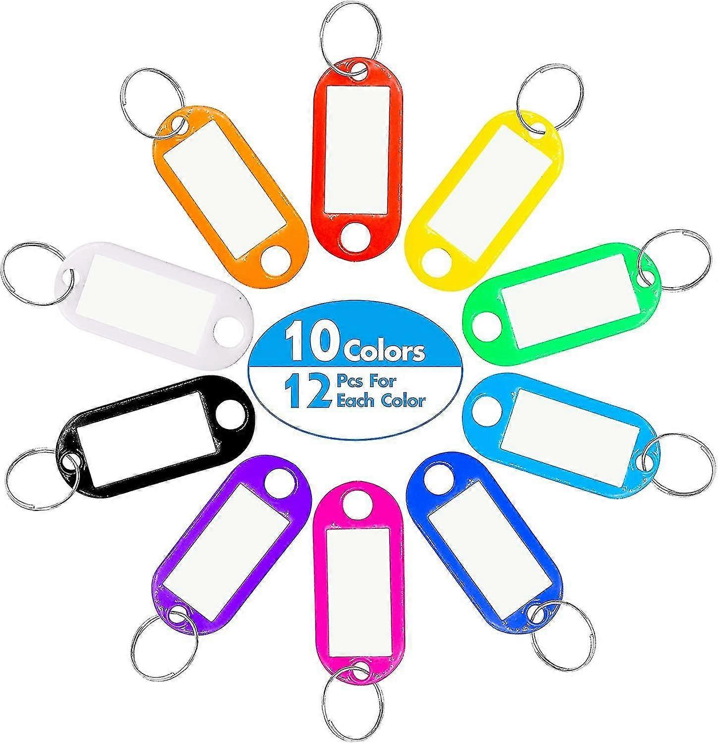 120 팩 플라스틱 키 태그 분할 링 라벨 창 다양한 10 가지 색상 (12 개)
