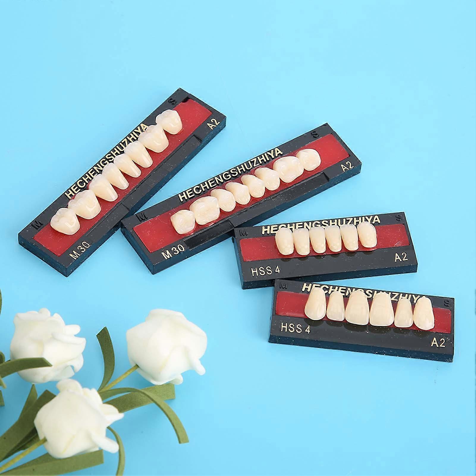 Dental Material Synthetic Resin Artificial Teeth Filling Denture Dental Care Tool