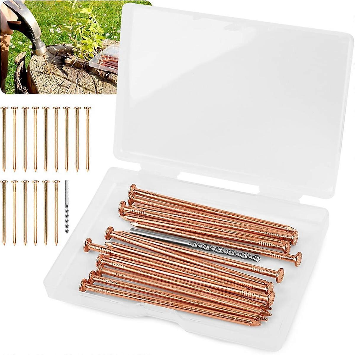 15 Pieces Copper Nails for Killing Tree Stump