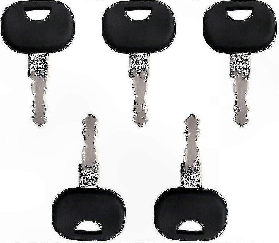 10-Piece Ignition Key Set for Key Replacement