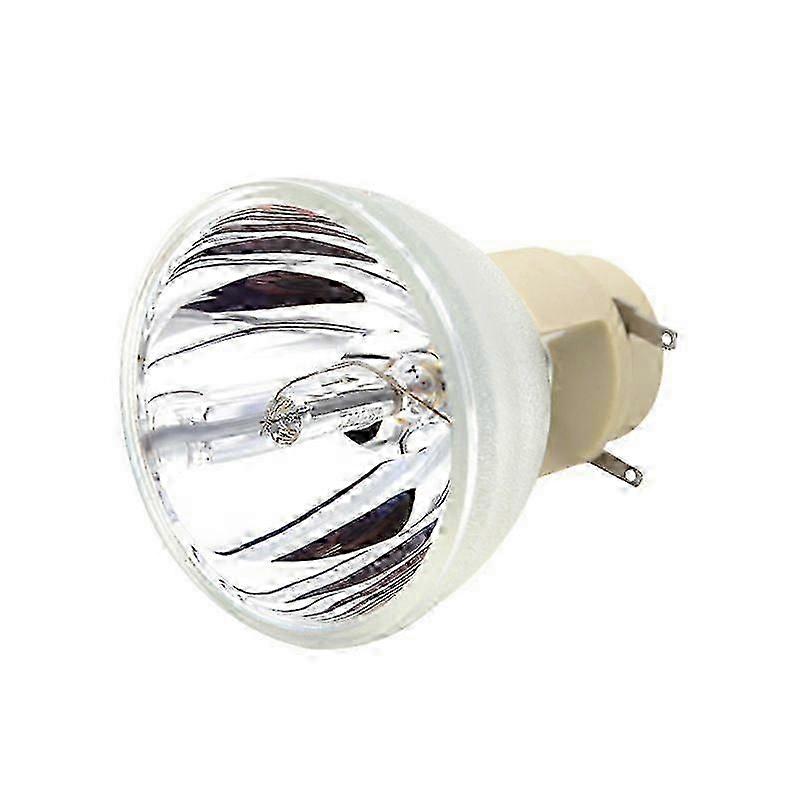 Projector Lamps Compatible with BenQ Models W1070 W1070+ W1080 W1080ST HT1085ST HT1075 W1300 - 240/0.8 E20.9N