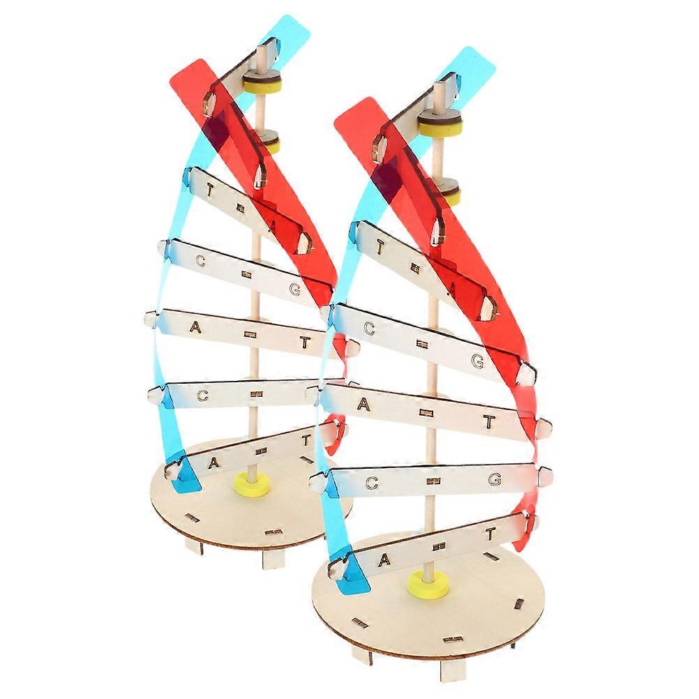 Dna Modeling Kit Biology Model for Science Teaching 2Psc Classroom Use