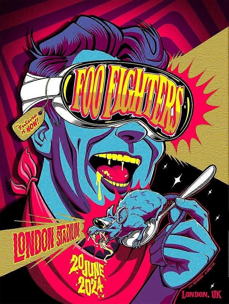 Foo Fighters 3Stress Reliever Jigsaw Puzzle UE 1908