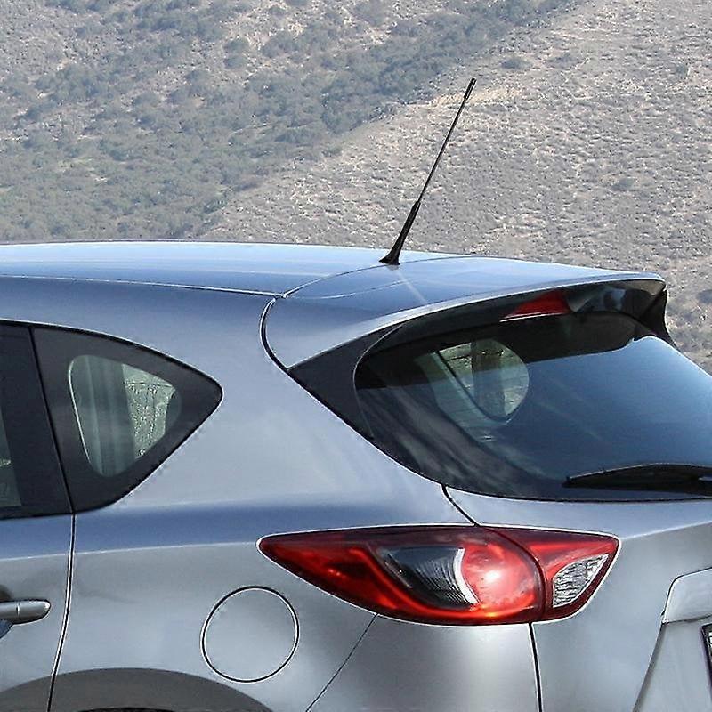 Car antenna incl. M5 & M6 adapters