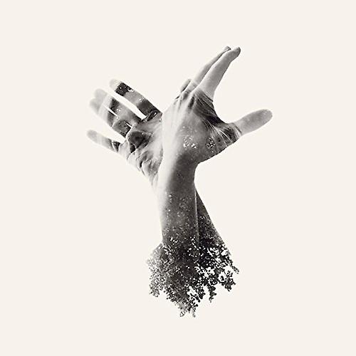 Last Dinosaur The - The Nothing [CD]