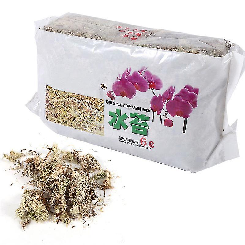 12l Sphagnum Moss Ενυδατικό Λίπασμα για Phalaenopsis Orchid
