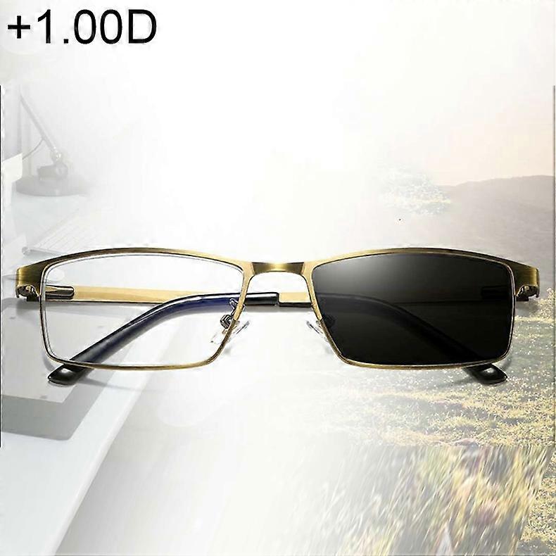 Lunettes presbytes photochromiques à double usage, +1.00D