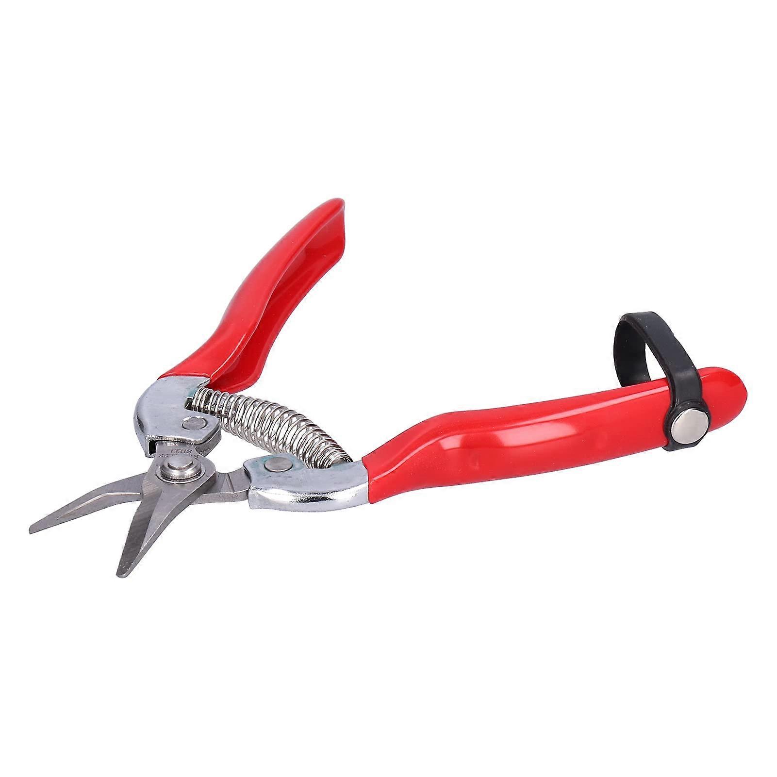 Scissors for pruning with good sharp blades and ergonomic design for gardening work.'