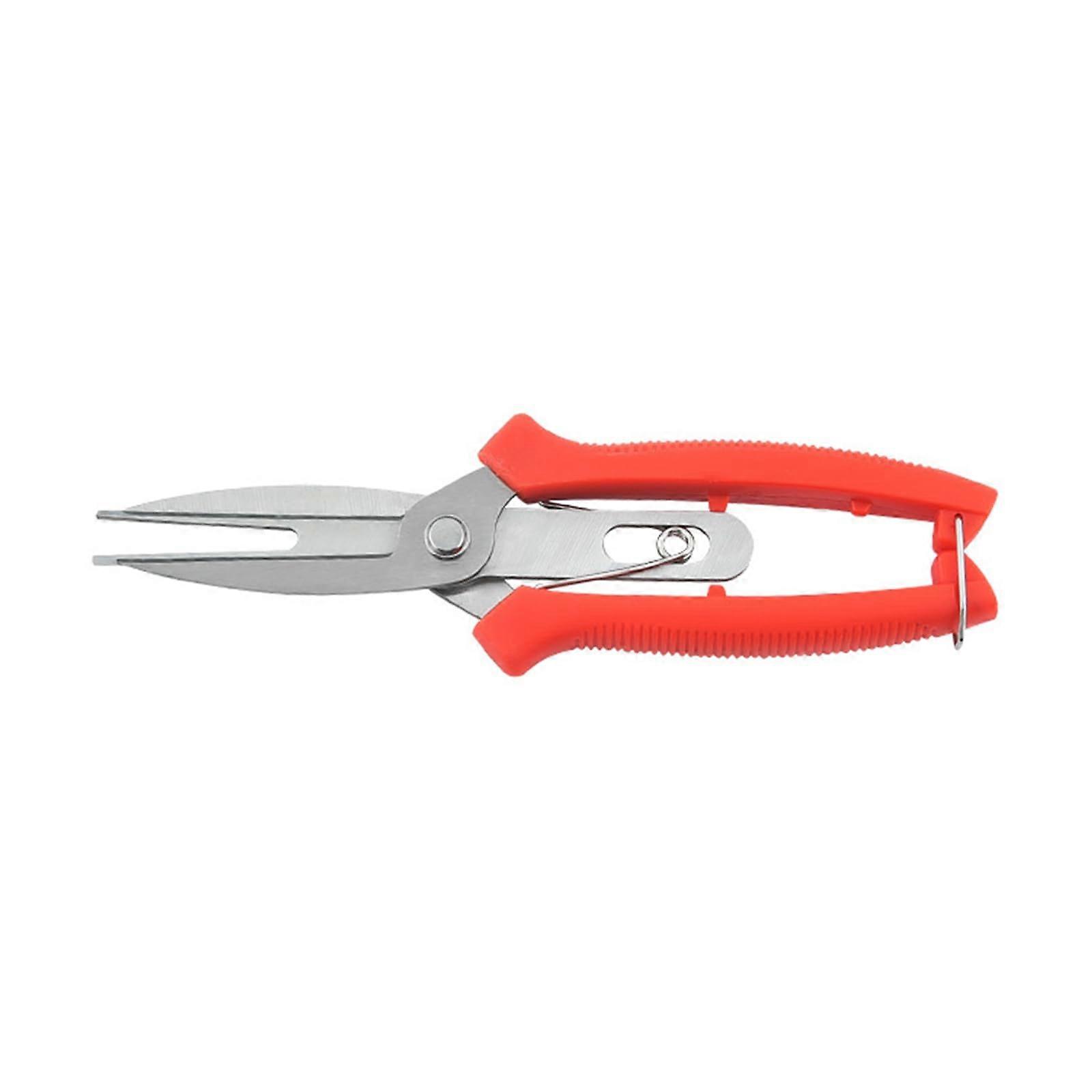 Doubleheaded pruning shears for agricultural fruit trees, flowers, and thinning shears