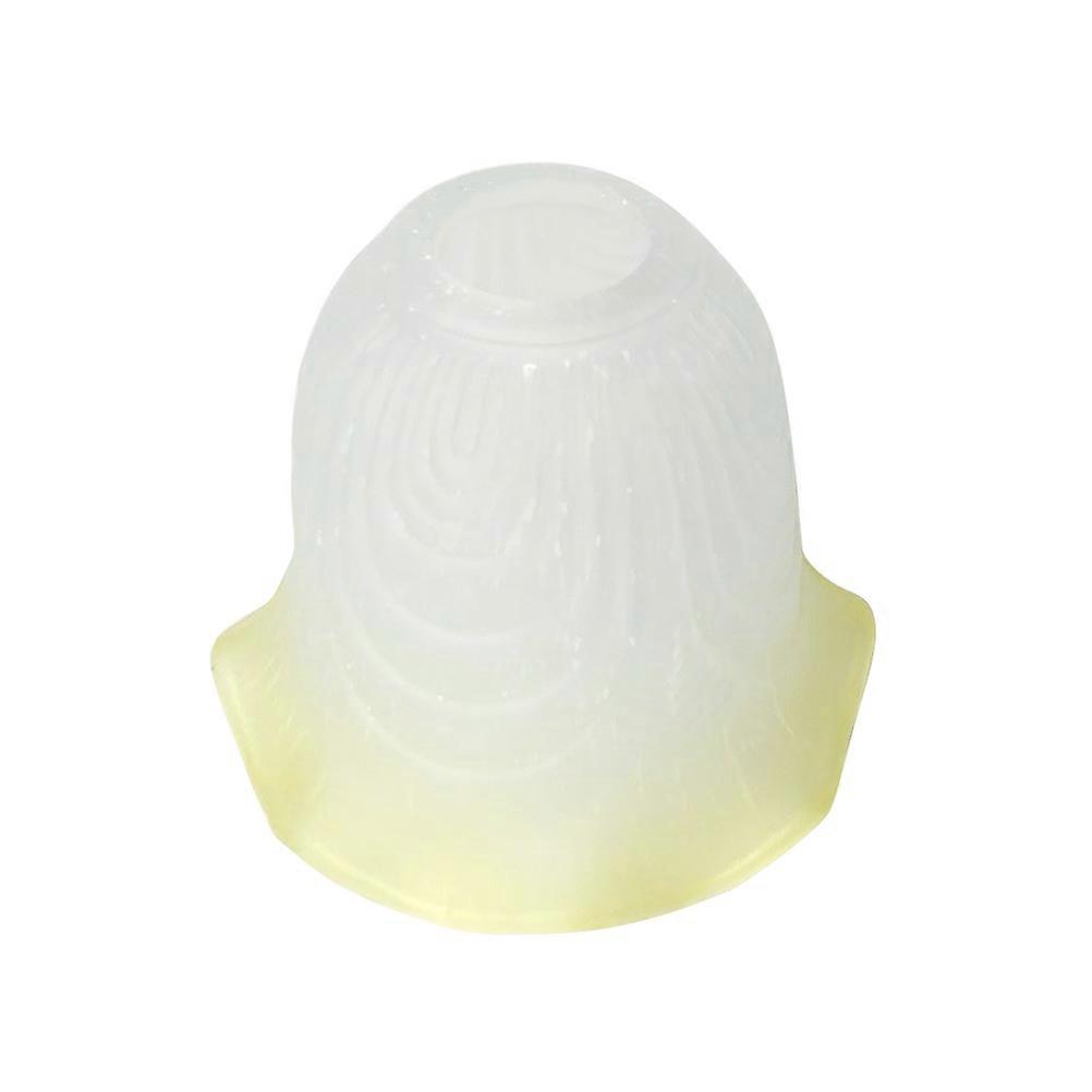 Glass Light Shade Lamp Shade for Decoration 2Pcs Transparent Flower Pattern