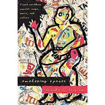 Ontwaken Spaces: Franse Caribische populaire liedjes, muziek en cultuur (Chicago Studies in Etnomusicologie)