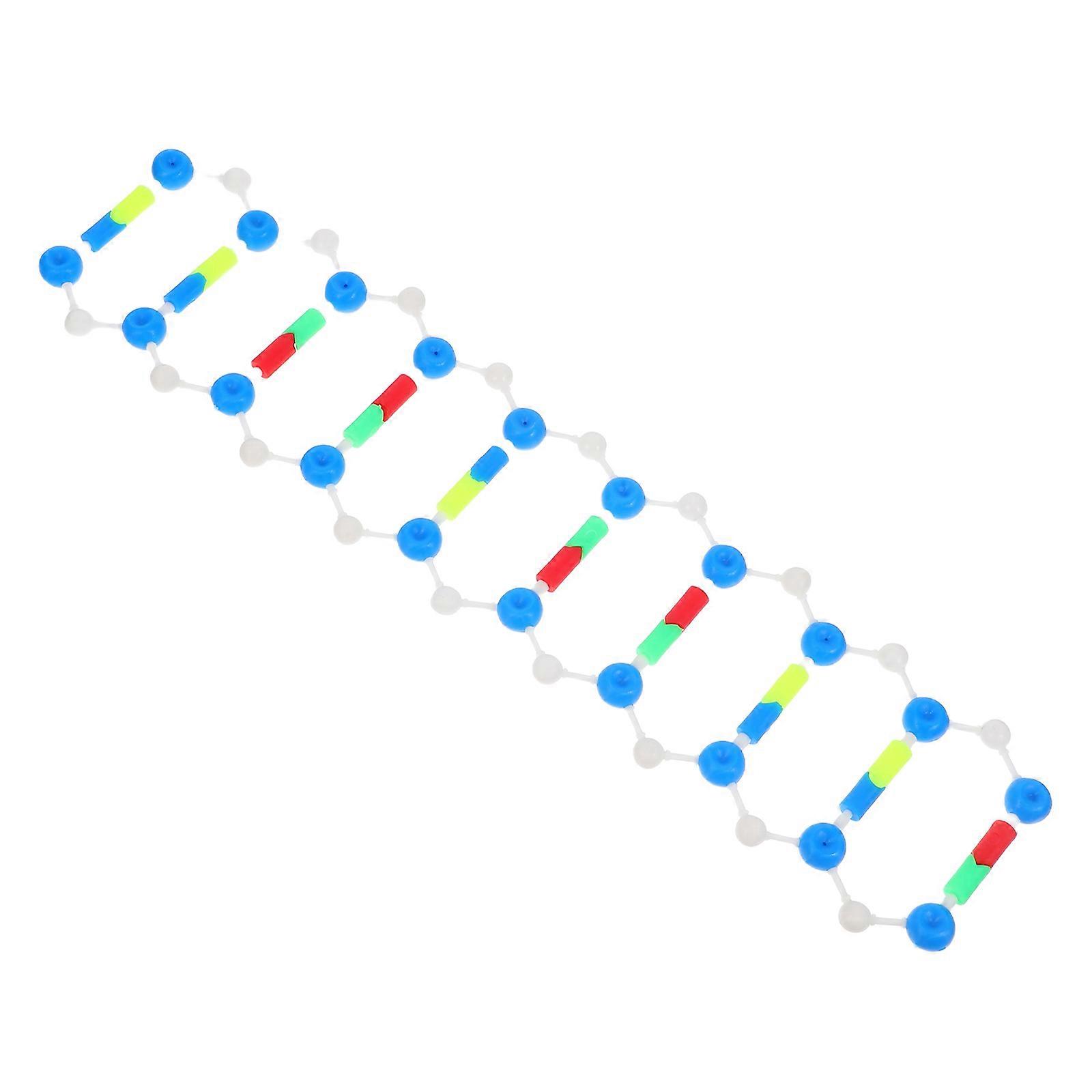 Educational Dna Model Kit for Genetics Teaching with 4Pcs Double Helix Structure