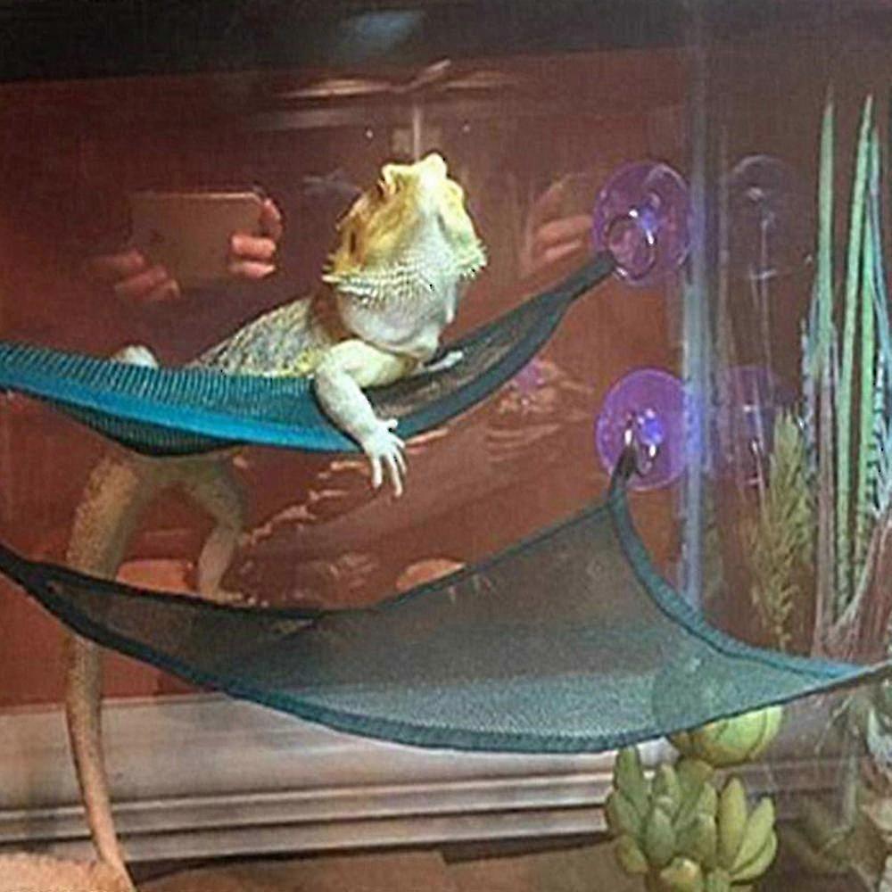 Breathable Durable Multi-Level Lizard Hammock