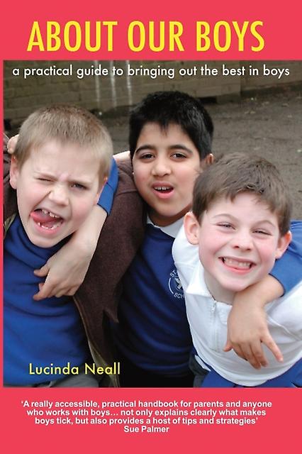 About Our Boys by Lucinda Neall Paperback