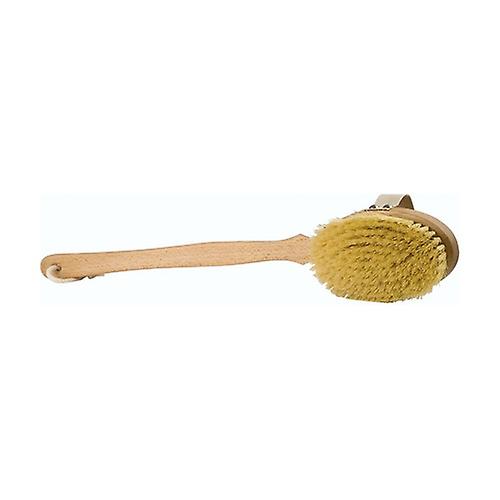 Cactus Fiber Brush 1 unit