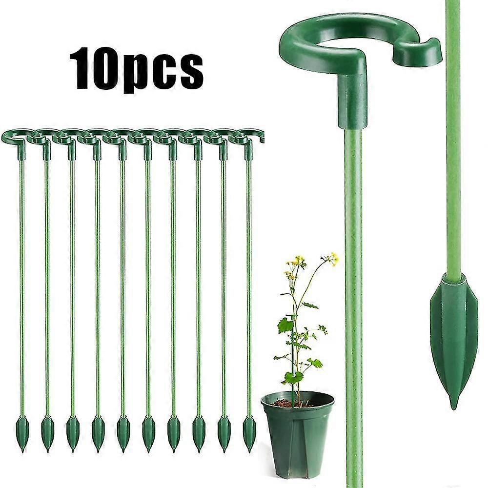 10pcs Plant Stakes En Single Stem Flower Ring Plants H D
