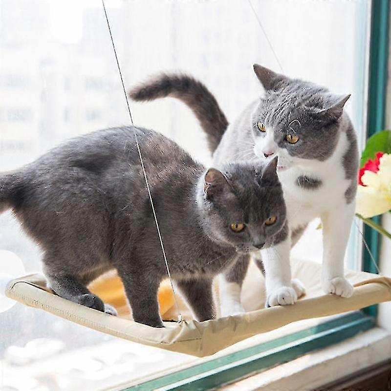 חלון יניקה ערסל חתולים רכוב על מיטה תלויה חתלתול נח מושב שטוף שמש