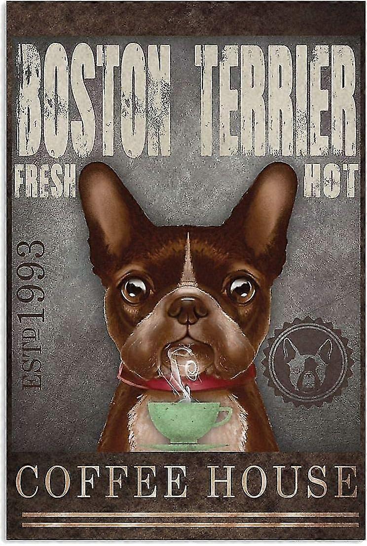 Chien Border Collie, Il Il Était Une Fois Il Y Avait Une Fille Qui Aimait Vraiment Le Border Collie C’était Moi Meta