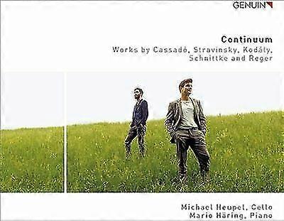 Continuum [Michael Heupel Mario Hring] CD
