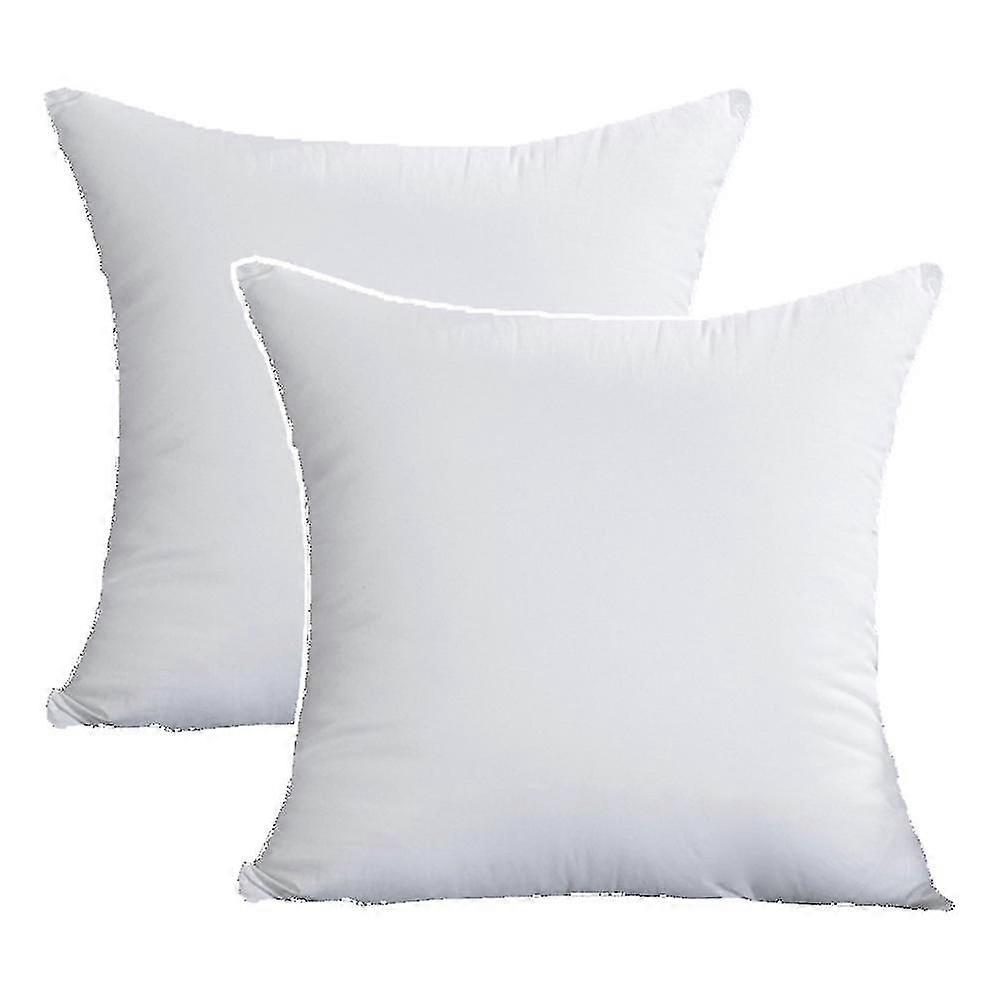 2pcs Cushion Core Waist Pillow Core Feather Velvet Pillow Core Abrasive Cotton Feather-proof Cloth Style1 40*40cm