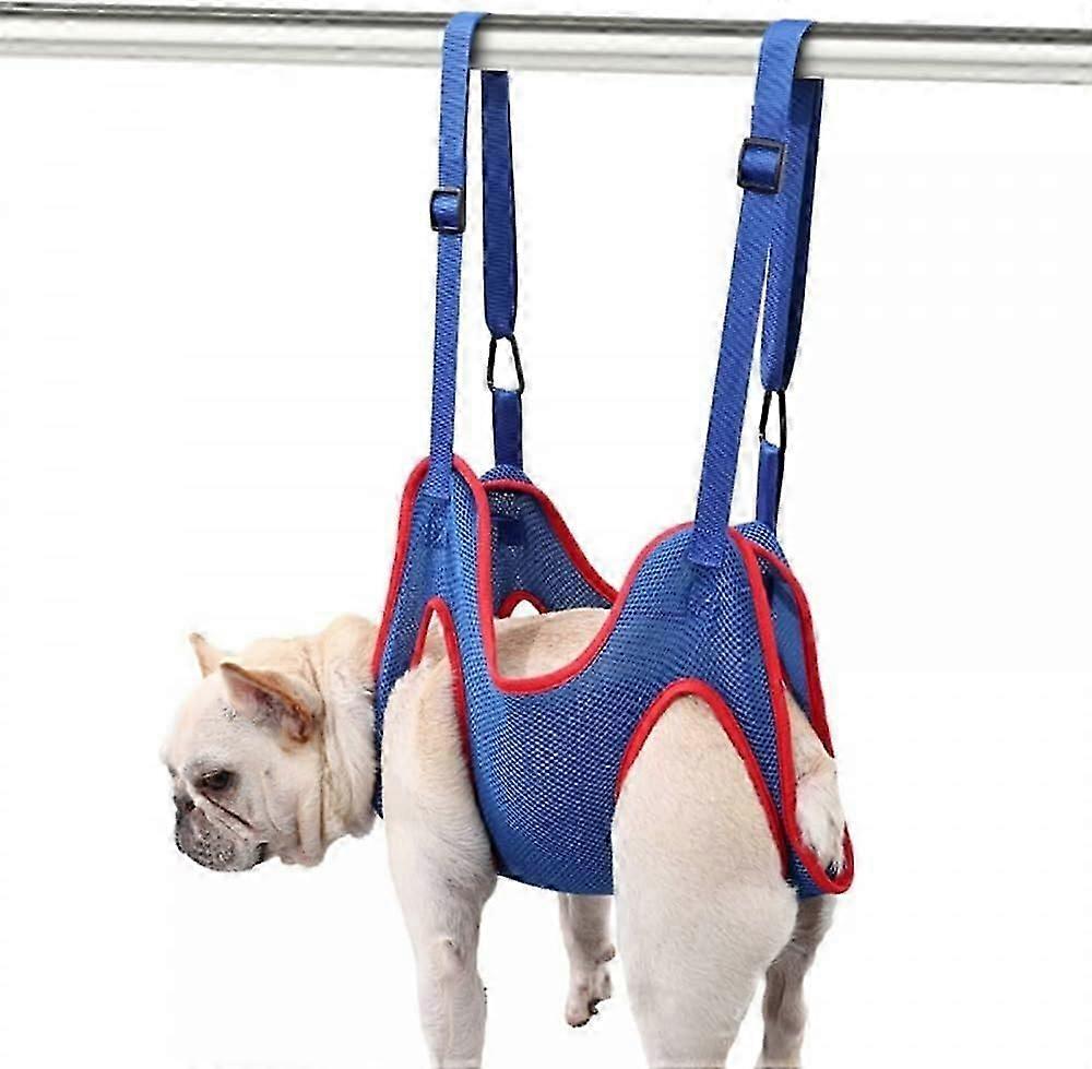 Rede para Cães, Arnês para Gatos com Suporte para Estilingue para Gatos com Fivela para Cortar Unhas para Animais de Estimação