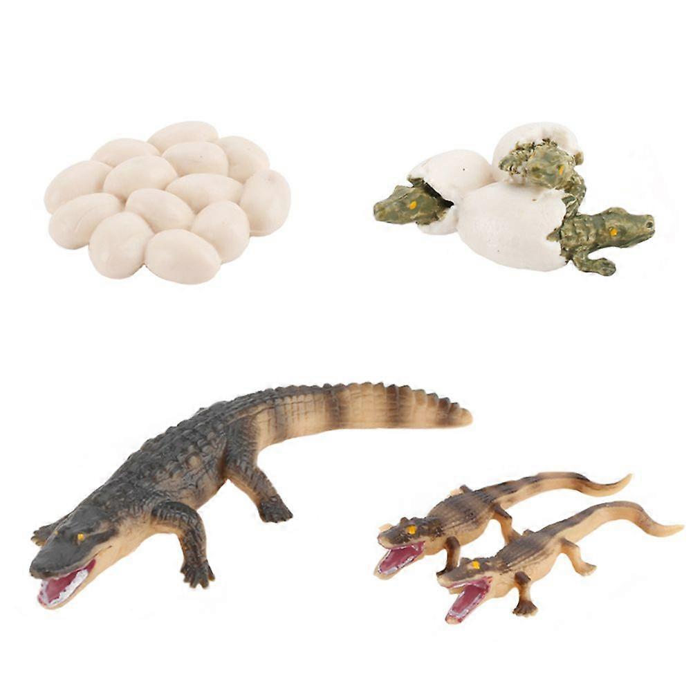1 Set Simulation Crocodile Model Crocodile Eggs Toy Kid Educational Plaything