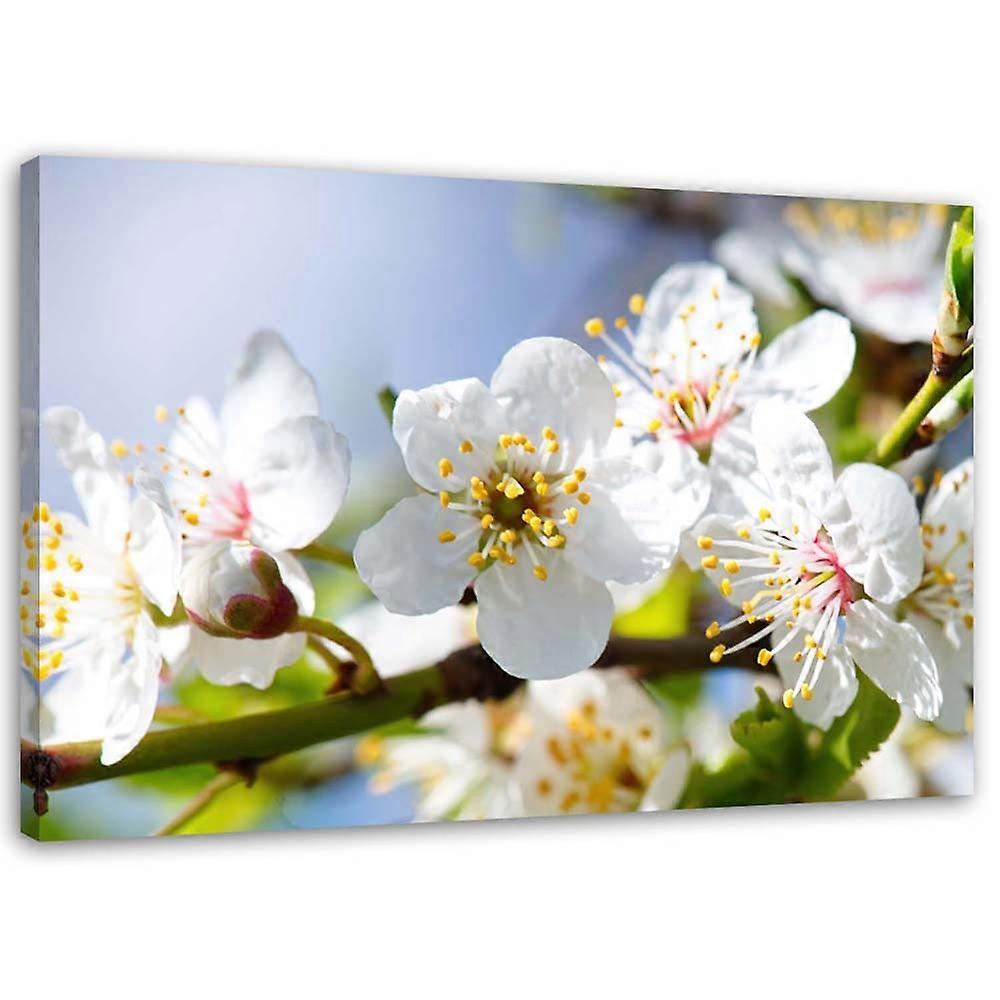 Impression sur toile, Branche fleurie - 100x70