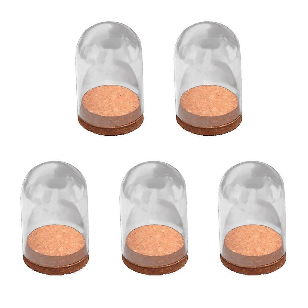 5x Decorative Cloche Bell Jar Display Case Tabletop &