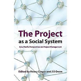 Project als een sociaal stelsel