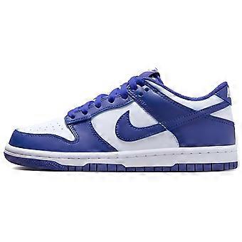 Nike Dunk Low Concord GS FB9109-106