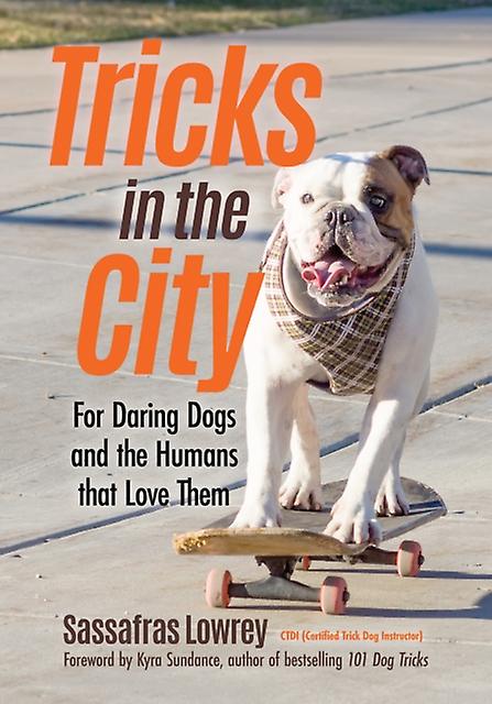 Tricks In The City by Sassafras Lowrey Paperback