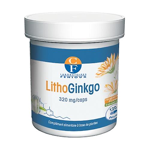 Litho Ginkgo 120 capsules