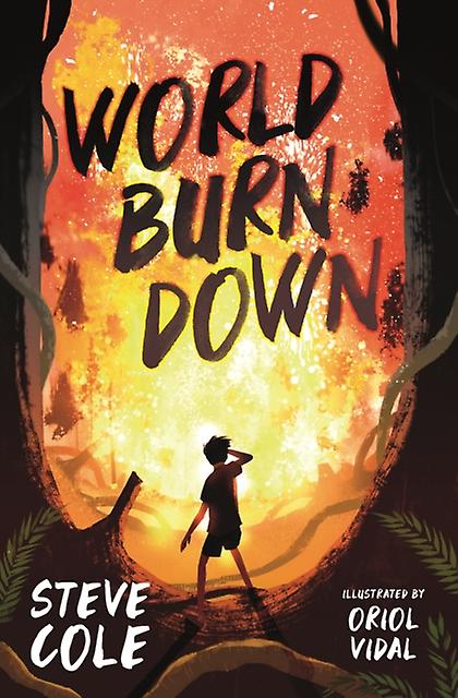 World Burn Down by Steve Cole Paperback