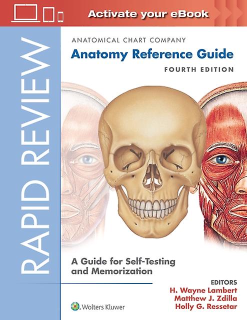 Rapid Review Anatomy Reference Guide by Lippincott Williams and Wilkins Spiral bound Book