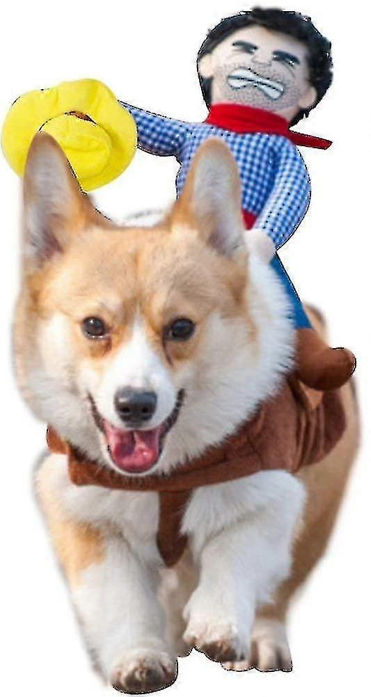Cowboy Rider Style Dog Costume-sy