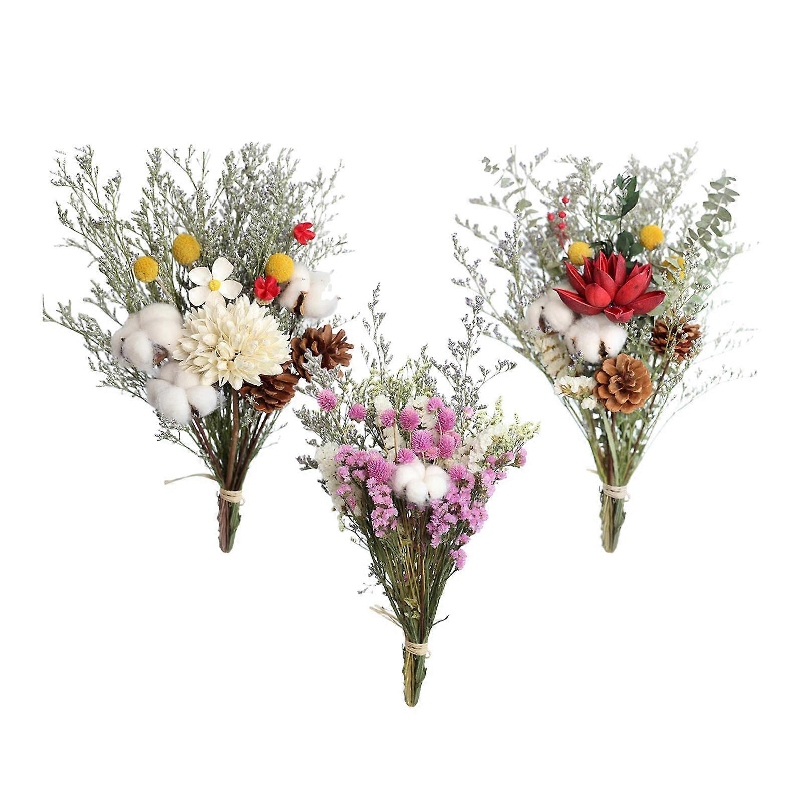 10 Steli E 5 Teste Di Fiori Di Cotone Secchi - Decorazioni Naturali Per Vasi, Bouquet Fai Da Te, Casa - Foto 7