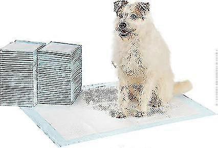 Basics Dog And Puppy Training Pads, Leakproof, 5-layer Design With Quick-dry Surface, X-large