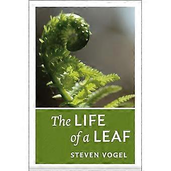 The Life of a Leaf