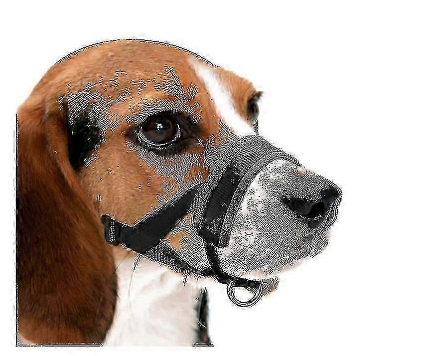 犬のための穏やかな銃口のガード - 噛む不要な咀嚼を防ぐ