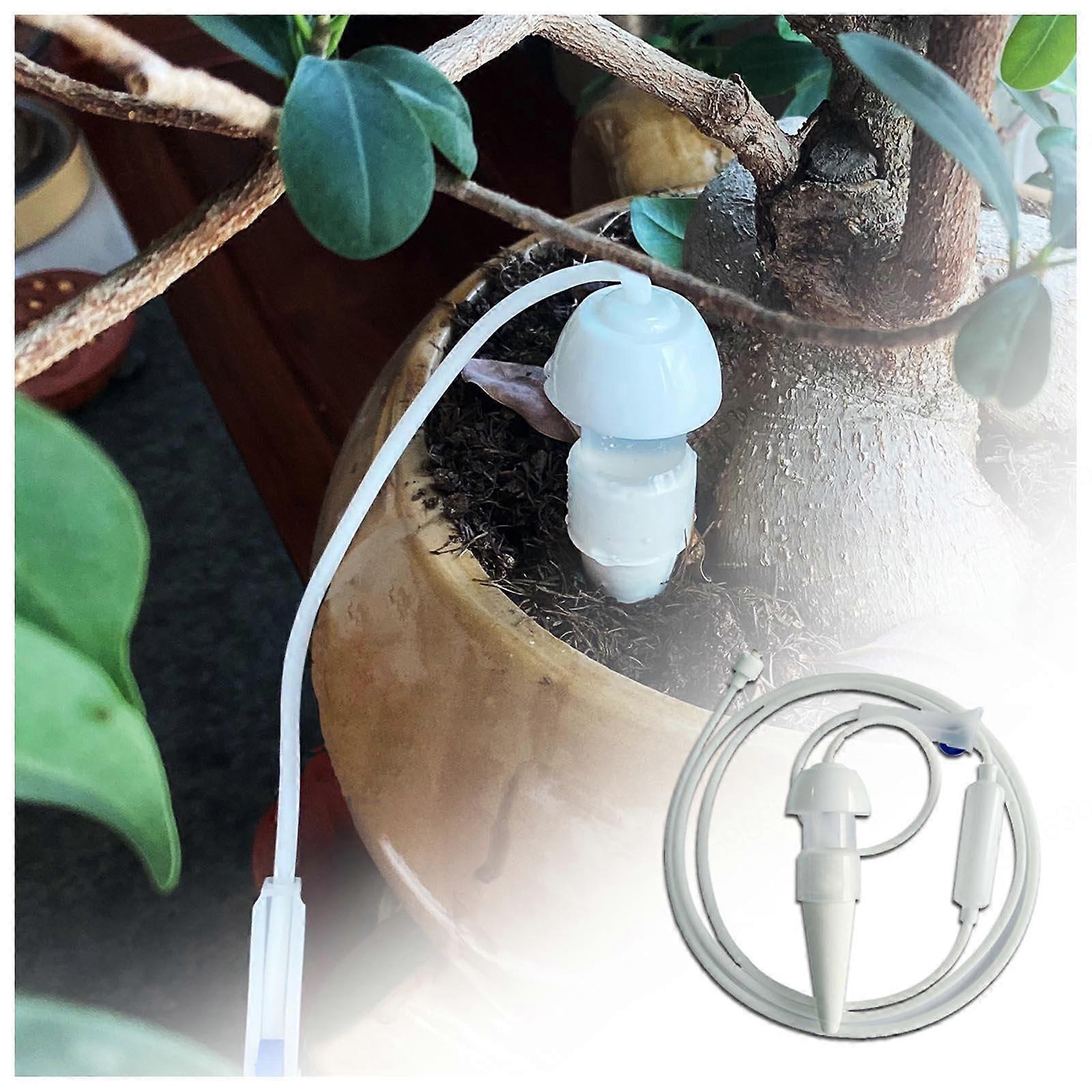 Irrigation globes for outdoor plants, adjustable wing switch, selfwatering, 6piece pack.