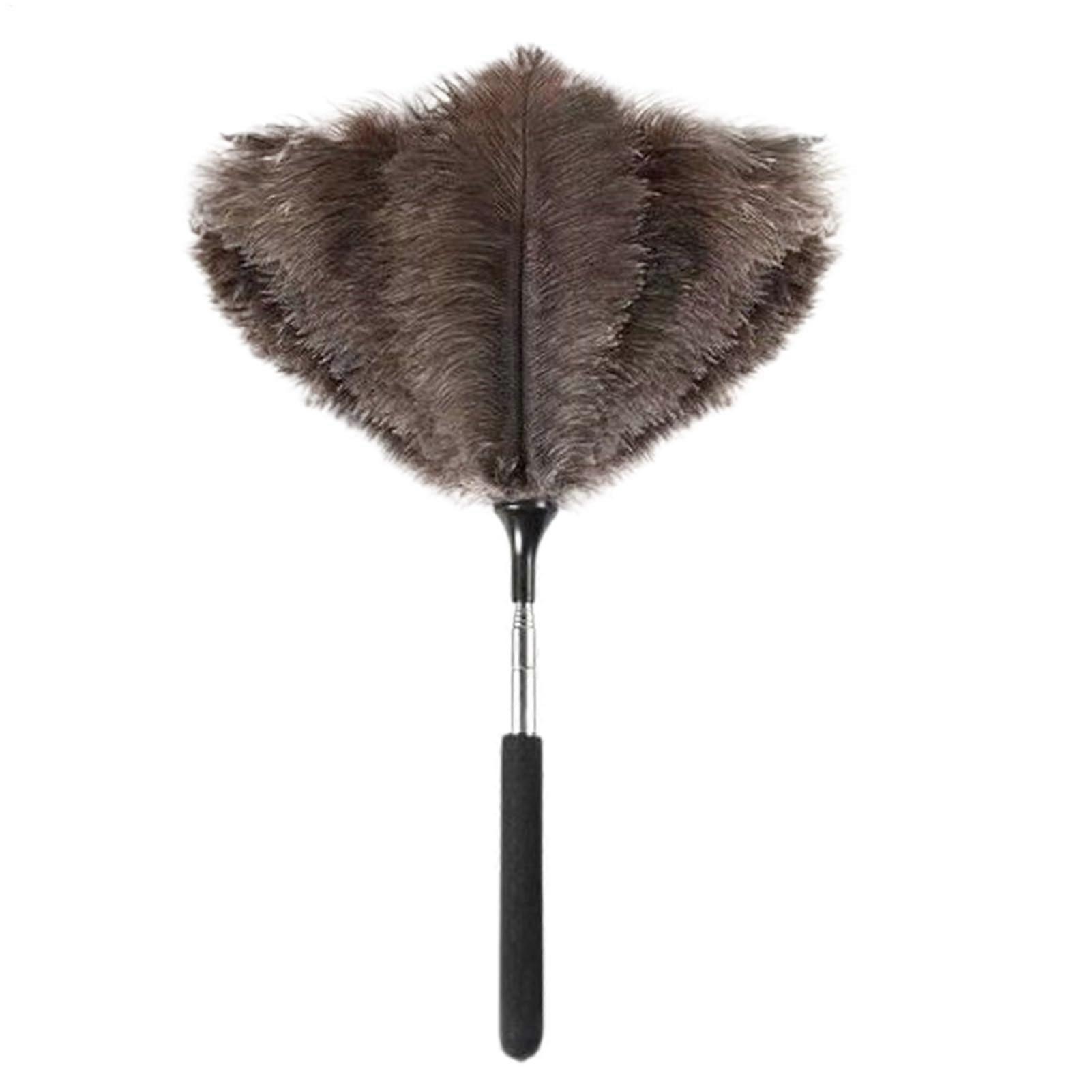 Duster for Cleaning with Telescopic Handle, Extendable Dust Mop for Furniture, Walls, and Shutters, Versatile Household Use