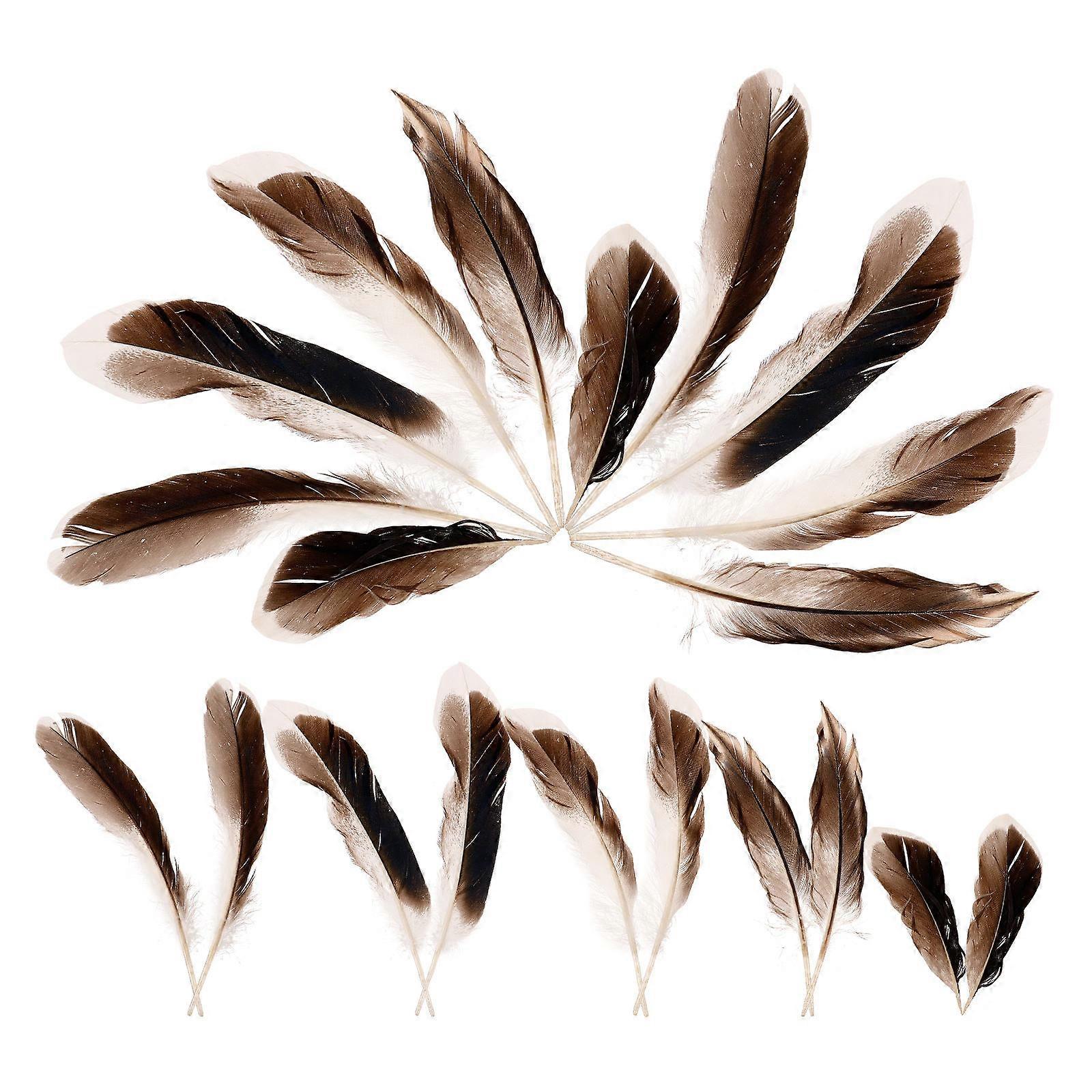 Duck Plume Decorative Plumes for Jewelry Making 100Pcs Multi-