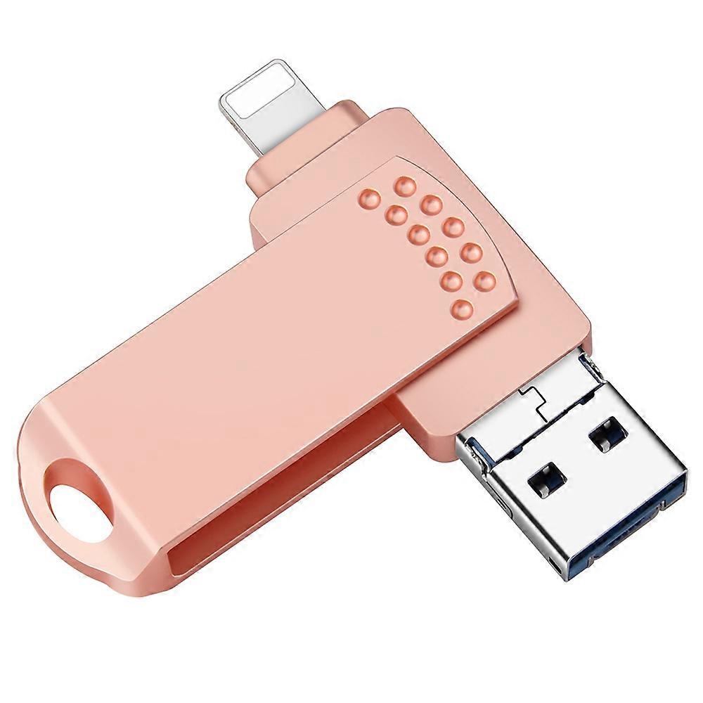 RICHWELL 256GB Large Storage Thumb Drive for iPhone Android Data Storage USB Memory Stick